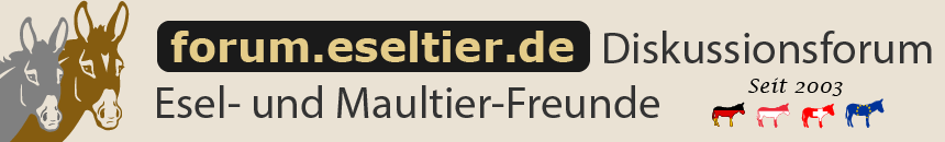 Eseltier Forum